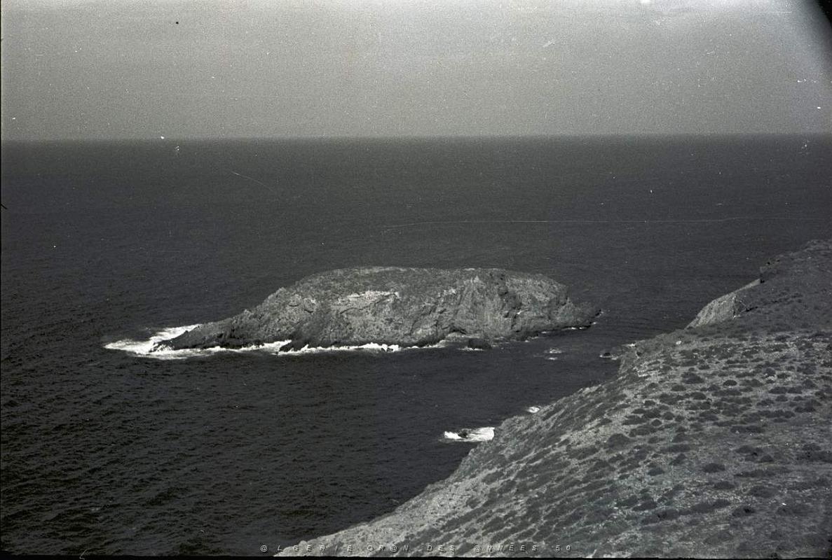 CAP FALCON PAR MONNERET   (8).JPG
